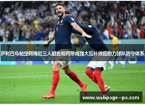 萨利巴乌帕楚阿梅尼三人组合如何形成强大互补效应助力球队防守体系