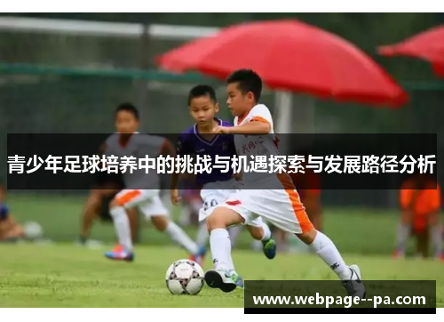 青少年足球培养中的挑战与机遇探索与发展路径分析