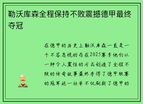 勒沃库森全程保持不败震撼德甲最终夺冠